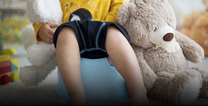 Entrenamiento para ir al baño: cómo y cuándo destetar a su hijo